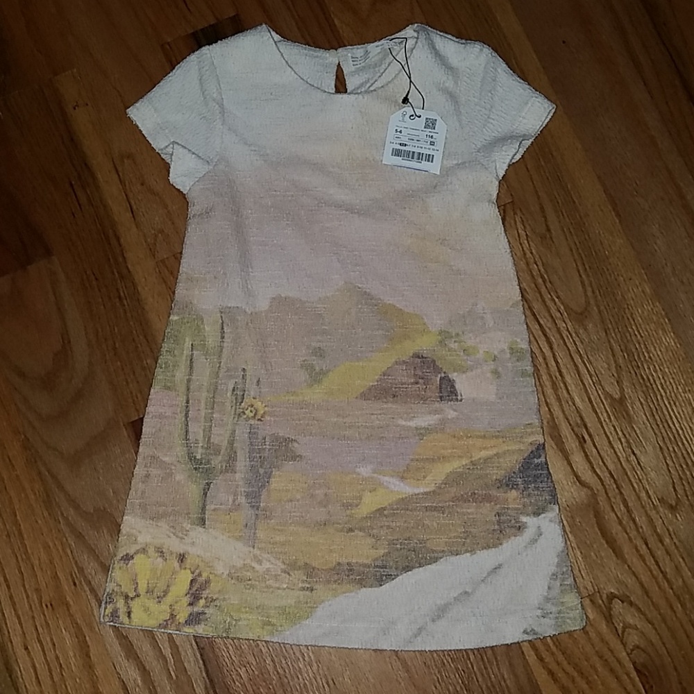 Zara girls dress